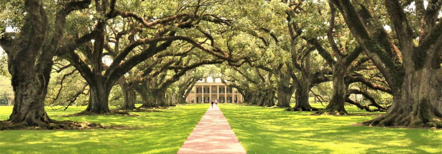 Louisiana’s Most Dangerous Cities A Closer Look Davidson News