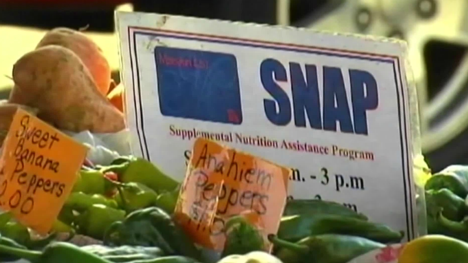 Pennsylvania SNAP Quirk: Three-Person Households Receive Less Aid Than Two-Person Ones