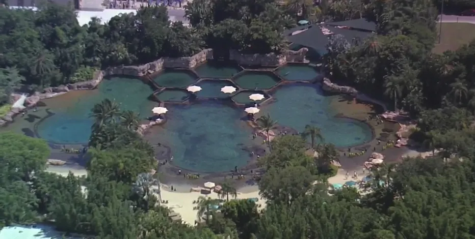 Teenage Girl Dies in Orlando Theme Park Pool