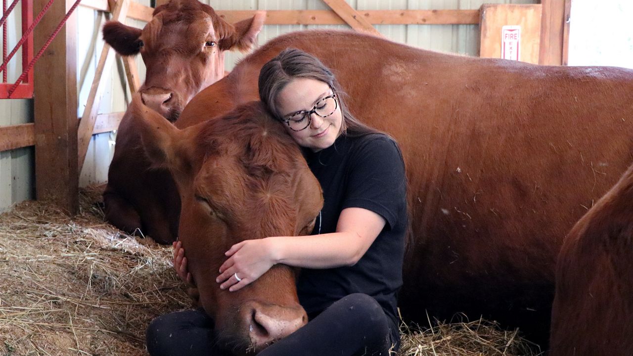 The Gentle Barn's Therapeutic Haven for Animals and Humans