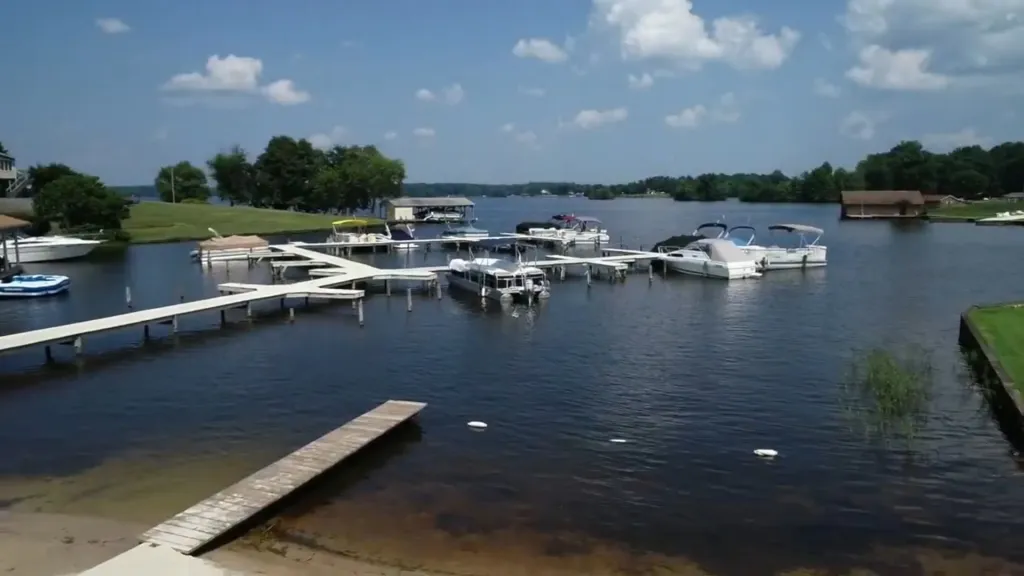 Tragic Drowning Incident at Lake Anna Claims Father and Son