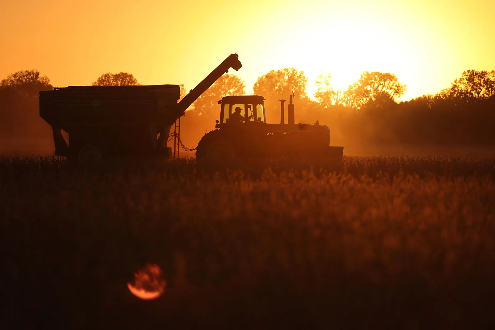 Alabama's Farm Bill 2024: A Lifeline for Farmers Facing Challenges