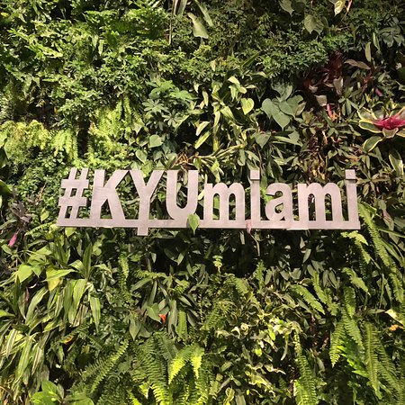 KYU Miami is Back After Two Years of Remodeling