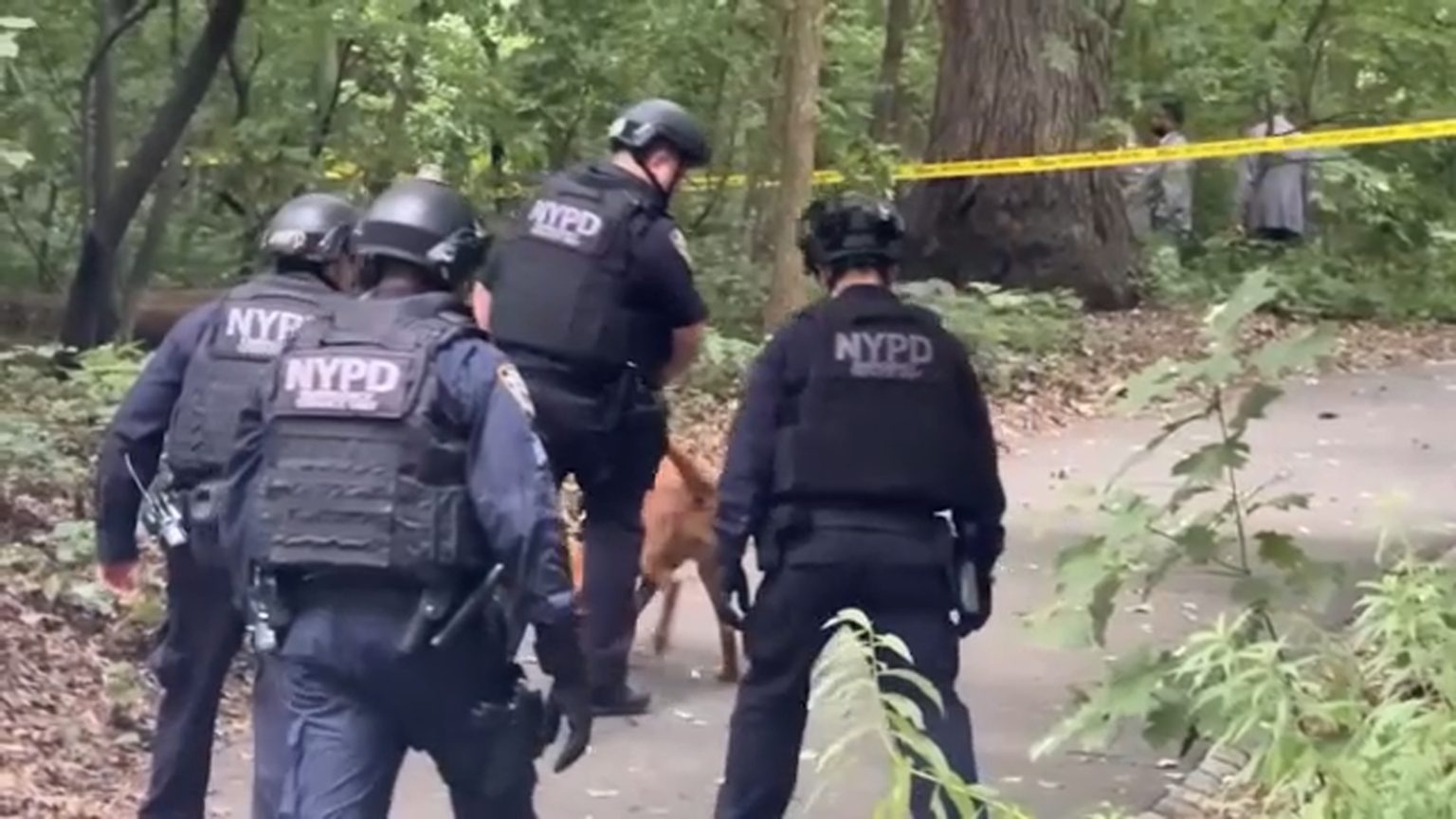 Woman Sexually Assaulted In Central Park Prompts NYPD Search: Suspect ...