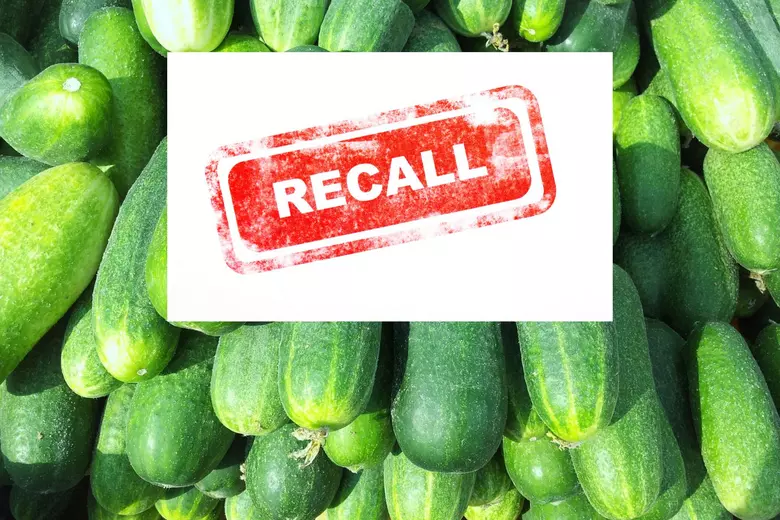 Salmonella Outbreaks Linked to Cucumbers, Over 380 Infected in 28 States