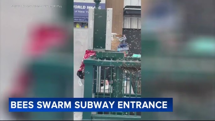 Swarm of Bees Block NYC Subway Station Entry