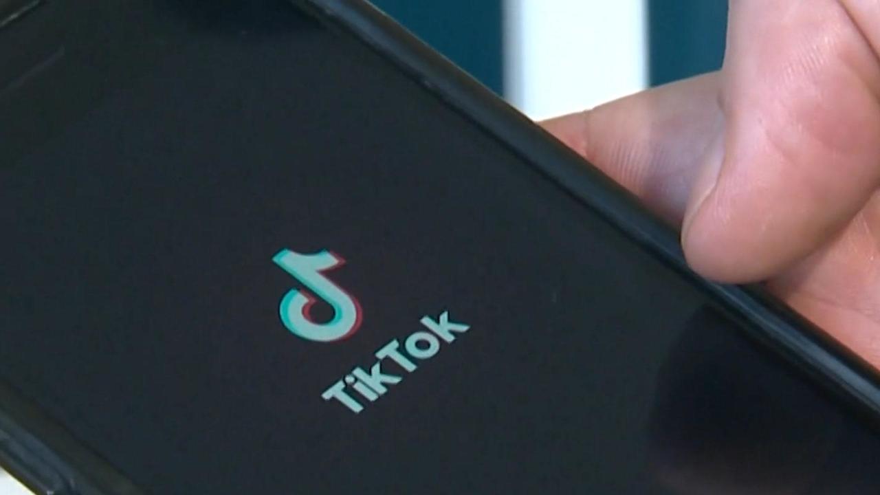 TikTok Challenges Potential U.S. Ban as Unconstitutional