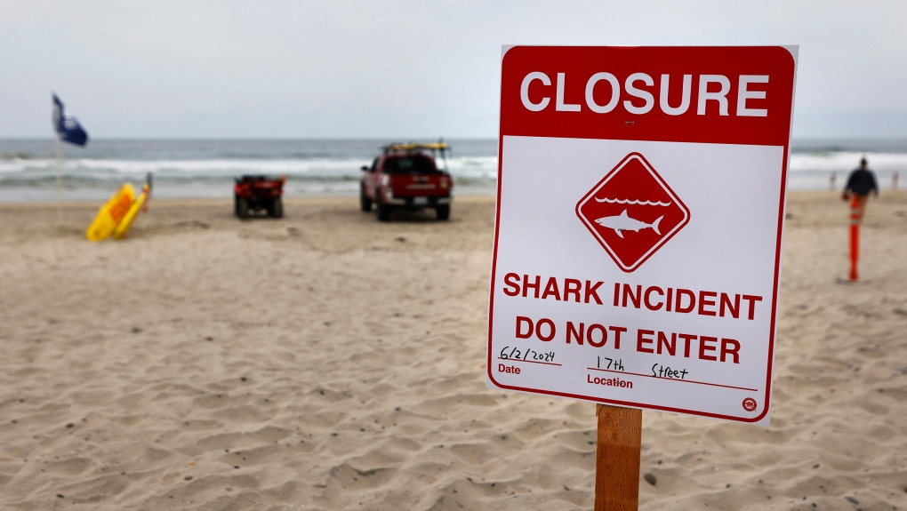Beaches Closed After Two Shark Attacks in Walton County, Florida