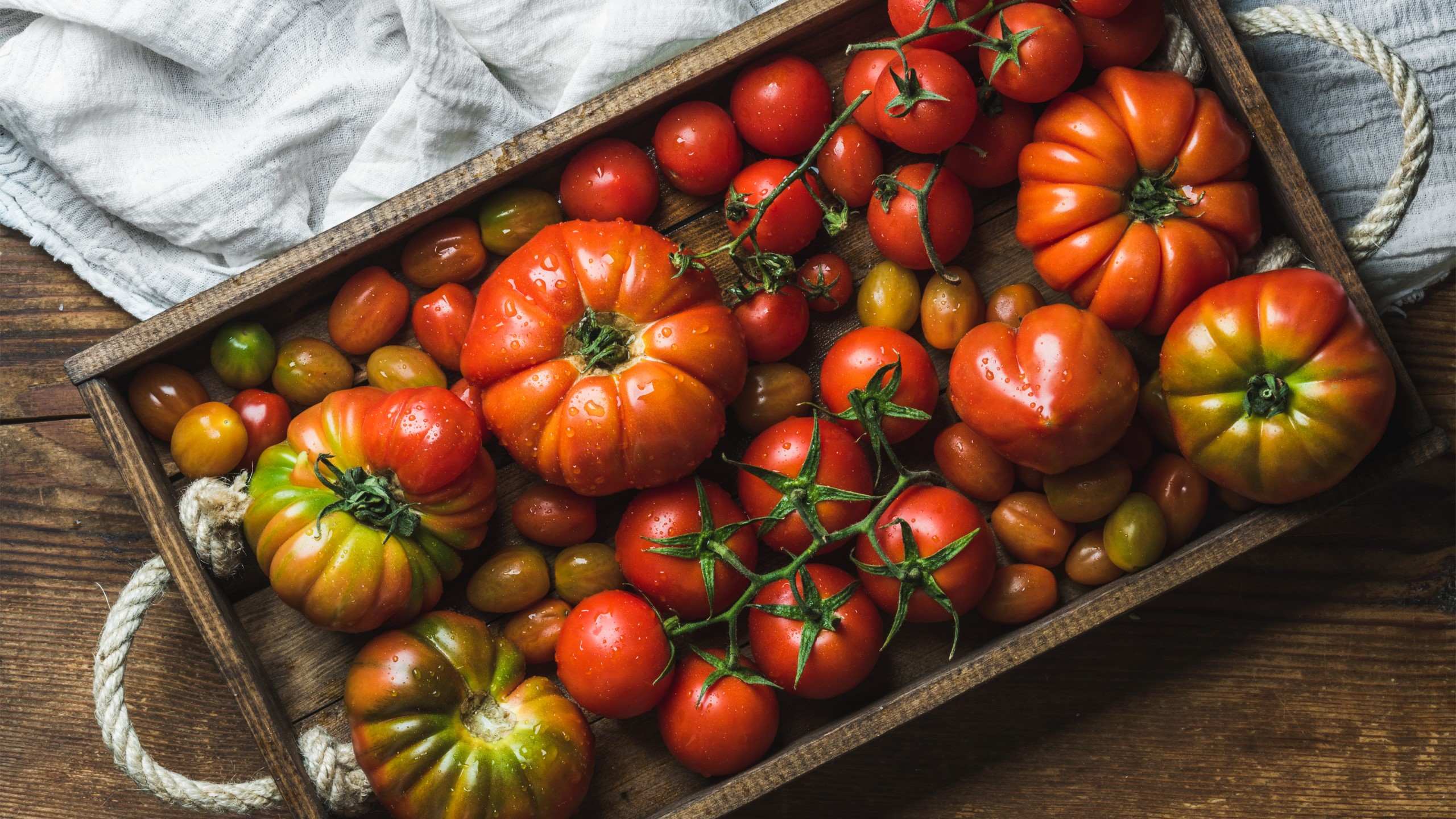 How Good are Tomatoes For Your Health? Should You Eat Them Often?