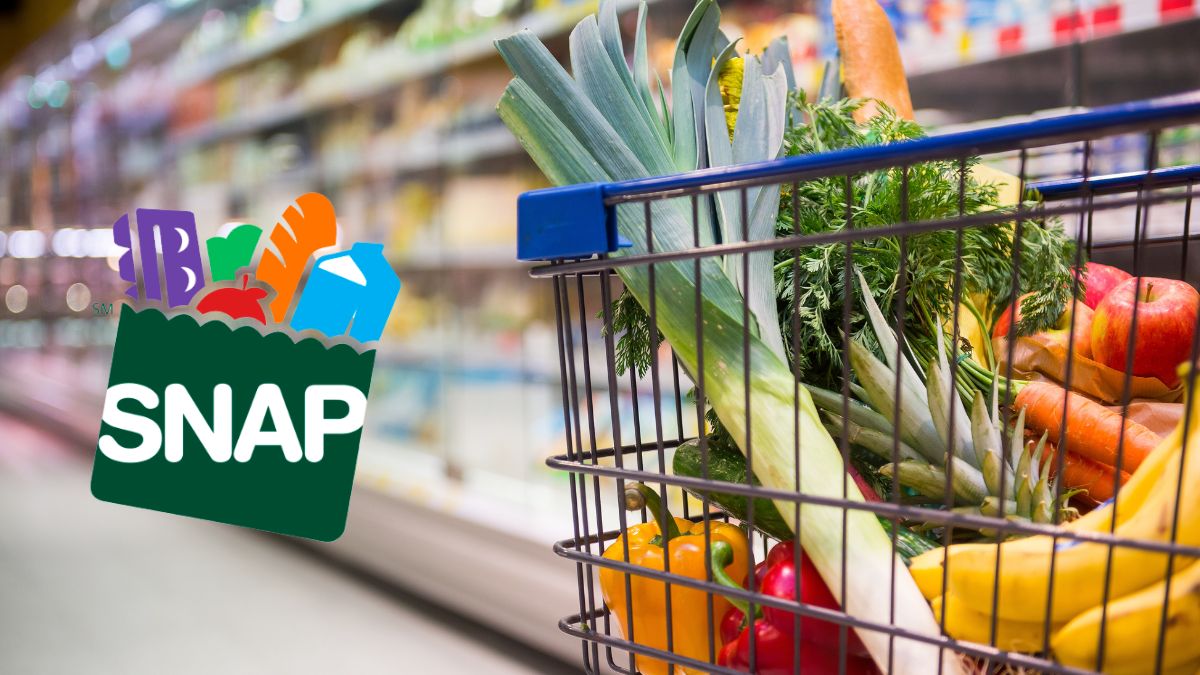 Complete Calendar of New SNAP Payments in August — EBT Card Recharge Dates