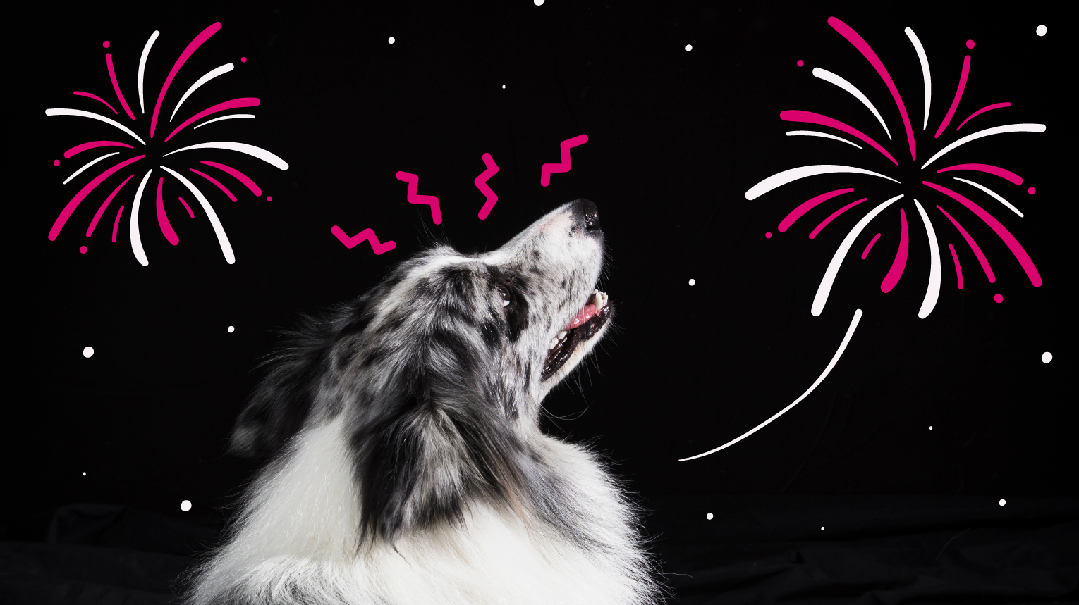 Protecting Pets During Fourth of July Fireworks: Essential Tips for Dog Owners