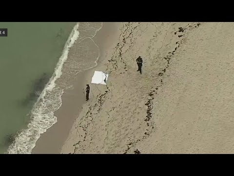 Jogger Discovers Body on Hollywood Beach, Police Investigate