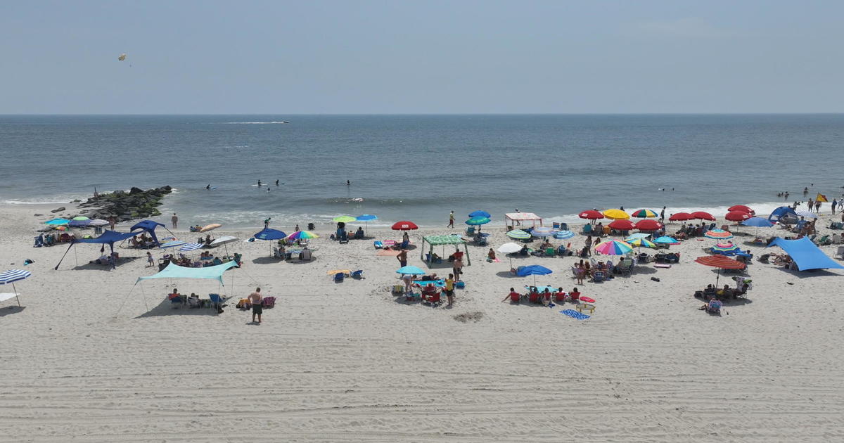 Basking Sharks Spotted at South Jersey Shores