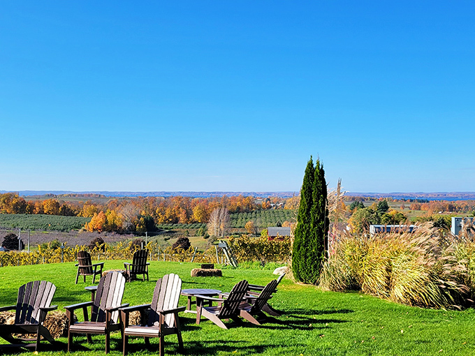 Chateau Chantal: Where Adirondack chairs become thrones. Sip wine while soaking in a view that makes postcards jealous.