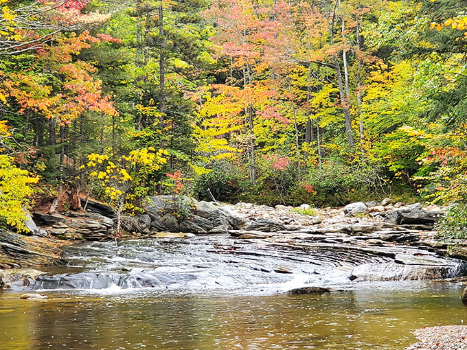 Nature's autumn palette on full display. Mahoosuc's vibrant foliage and cascading waters create a scene straight out of a Bob Ross masterpiece.