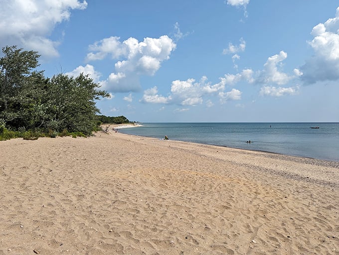 Sun-kissed sands stretch for miles, nature's own infinity pool. Lake Michigan whispers secrets to the shore, while prairie grasses dance in the breeze.