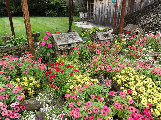 A floral explosion that would make Claude Monet jealous! These blooms add a burst of color to the rock garden's stony palette.