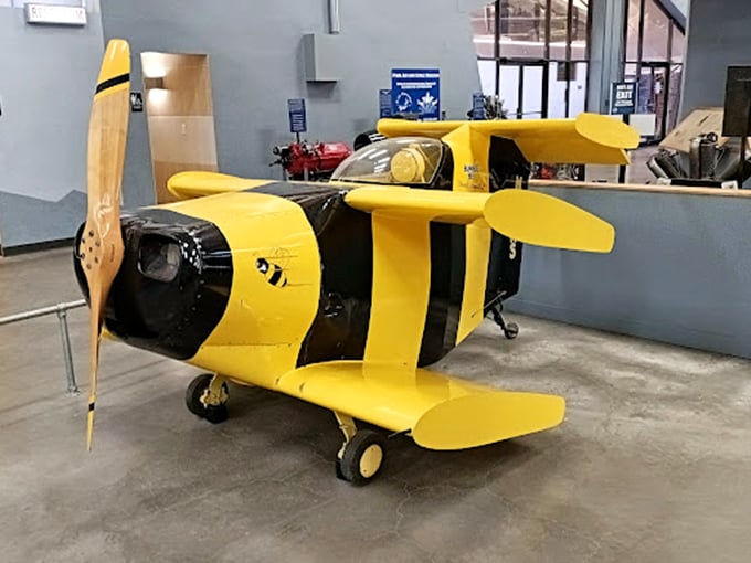 This adorable yellow plane is the Pixar character of aircraft. It's got more charm than a basket of puppies and probably handles better too.