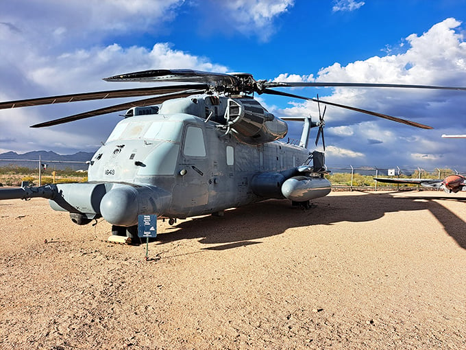 The Sikorsky: Part helicopter, part sea monster. It's the Swiss Army knife of the skies, ready for any mission or impromptu picnic.