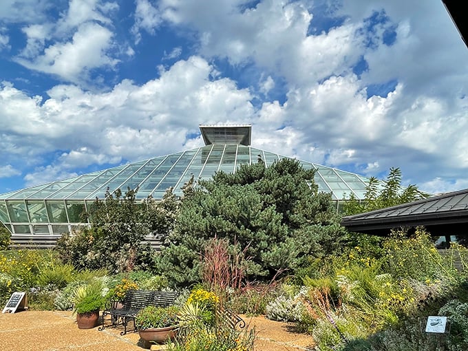 Who needs a GPS when you can follow the flower-lined path to serenity? This garden oasis is your next scenic route.