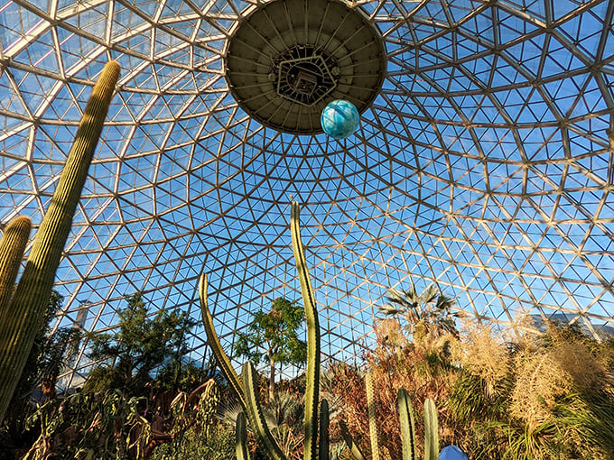 Geodesic pit stop ahead! These domes are your ticket to tropical getaways and desert adventures, no passport required.