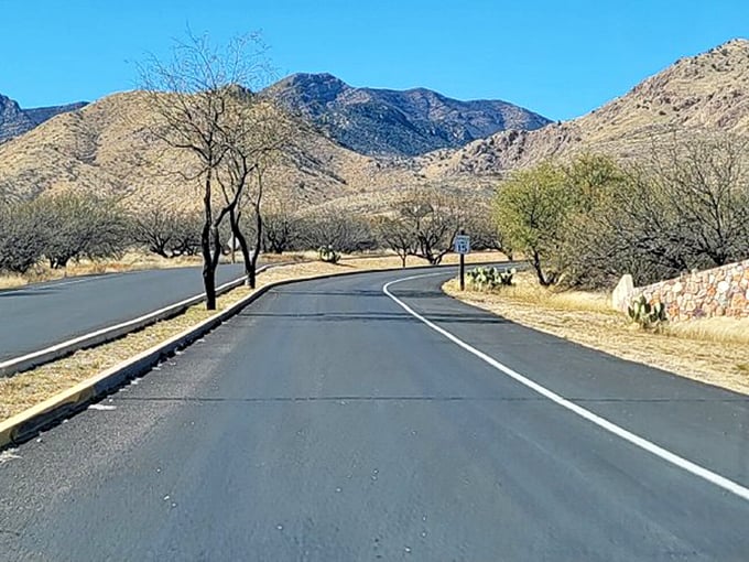 The road less traveled? Not anymore! This winding path leads visitors to underground marvels and above-ground adventures.