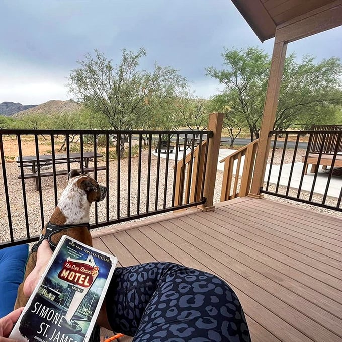 Who let the dog out? This furry friend enjoys the view from a cabin porch, proving relaxation isn't just for humans.