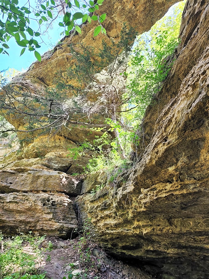 Make a pit stop at this natural archway and walk in the footsteps of ancient explorers.