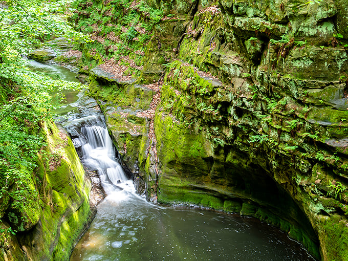 Nest here for a while! This hidden gorge is the perfect place to stretch your legs and imagination.