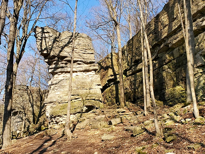 Elevate your road trip at this sky-high park – it's Wisconsin's answer to the Grand Canyon!