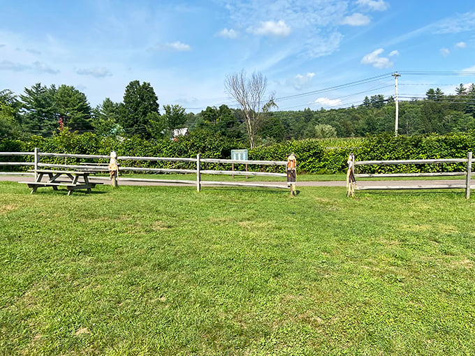 Road warriors, meet stalk stalkers: Navigate nature's labyrinth on your Green Mountain journey.