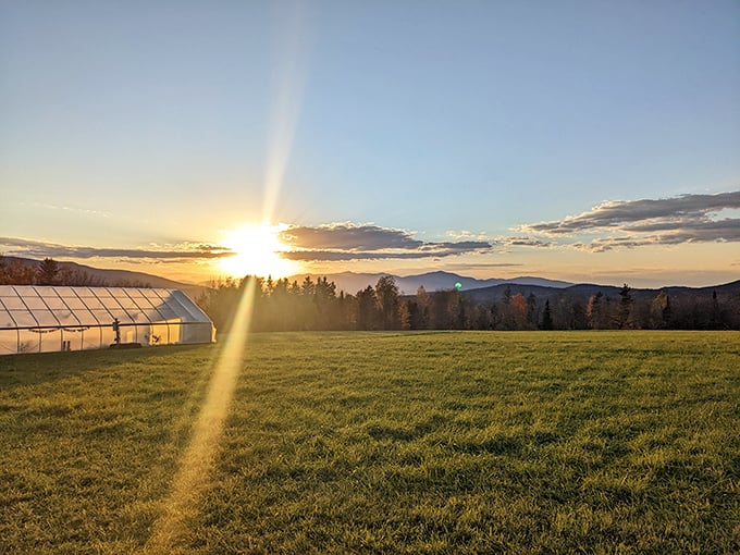 Recharge your batteries (and your plate): This eco-oasis is the perfect road trip refuel.