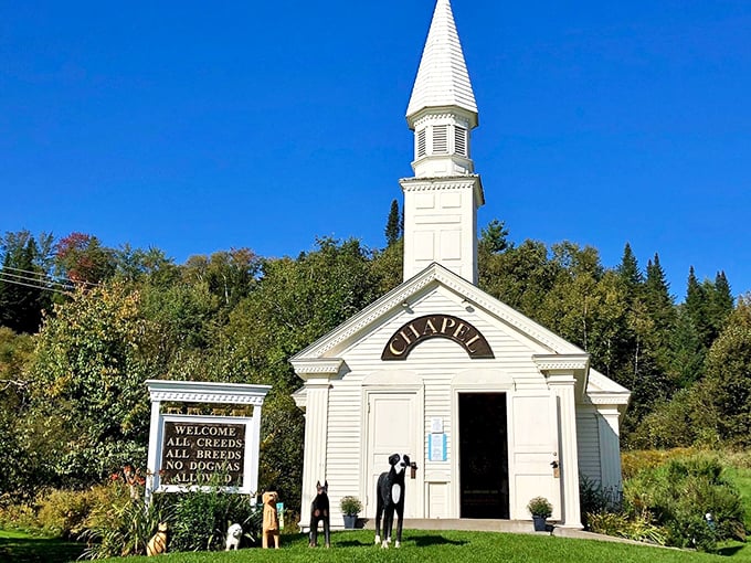 Bark if you love Jesus – and road trips! This puppy paradise is the perfect pit stop for four-legged co-pilots.