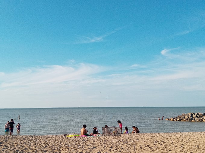 "Cruise control to relaxation! Park your worries at Maumee Bay's shore and let the lapping waves be your new engine purr."