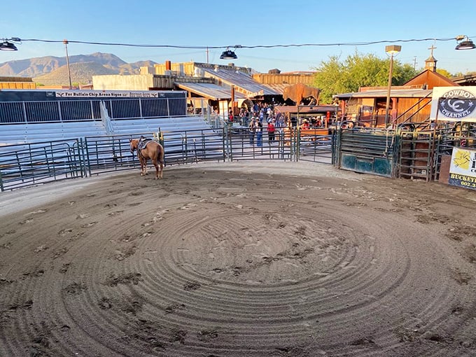 Welcome to the thunderdome! This arena's where cowboys earn their spurs and bulls earn their reputation. Let the 8-second rodeo begin!