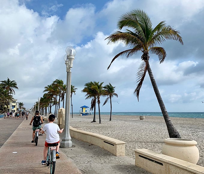 Two-wheeled bliss: Cyclists cruise past swaying palms, proving that sometimes the journey is just as enjoyable as the destination.