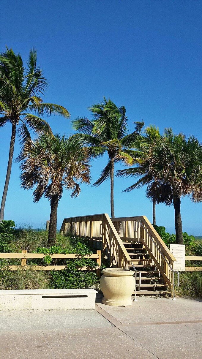 Stairway to heaven... or at least to a great view: Palm-fringed steps lead the way to your next Broadwalk adventure.