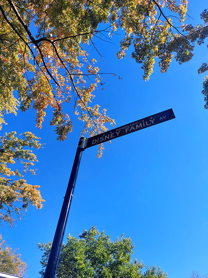 Where every day feels like Main Street, U.S.A. This street sign is more magical than a fairy godmother's wand!