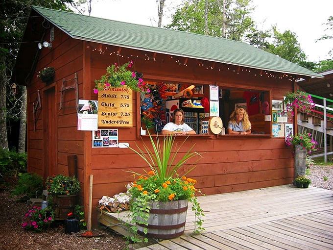 Step right up! This ticket booth is more charming than a Norman Rockwell painting, with a side of pine-scented nostalgia.