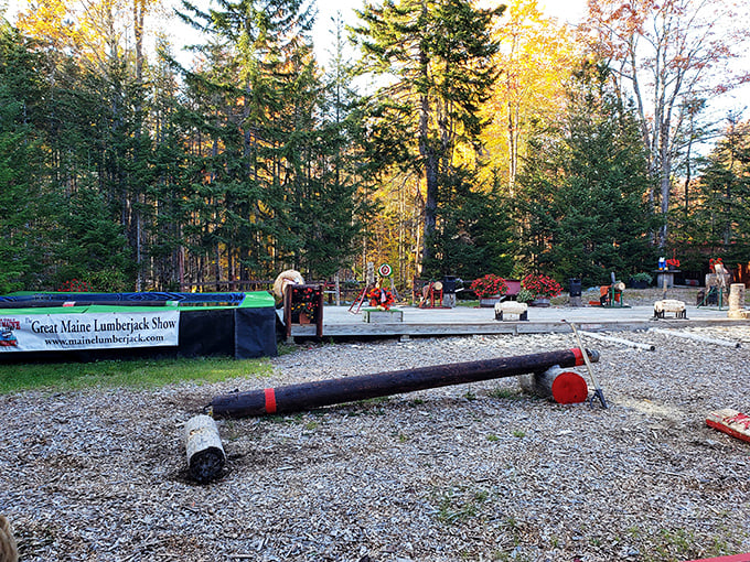 The stage is set for timber-tastic feats. It's like American Ninja Warrior met Paul Bunyan and decided to throw a party.