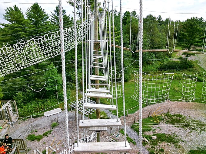 Stairway to heaven or ladder to adventure? This rope course promises to elevate your heart rate faster than a double espresso on a Monday morning.