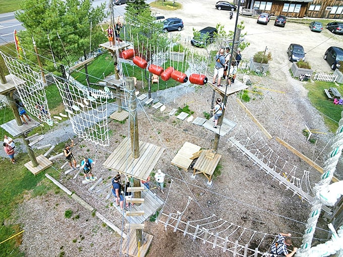 Bird's eye view or monkey's eye view? This aerial snapshot showcases the park's intricate web of challenges, making Spider-Man's playground look like child's play.