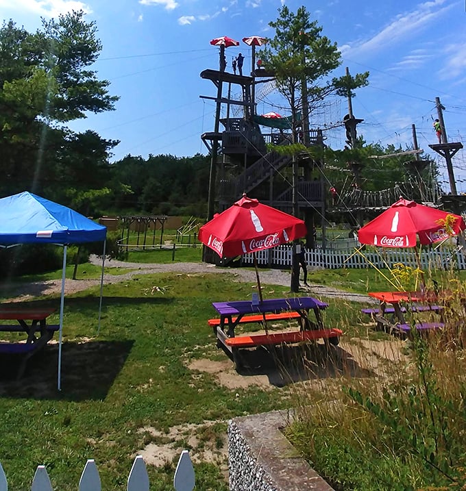 Picnic tables with a side of adrenaline. It's the perfect spot to refuel after conquering the treetops or psyching yourself up for the next challenge.