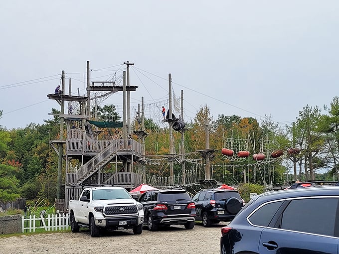 Park here for adventure! This lot is where ordinary cars transform into getaway vehicles for would-be Tarzans and Janes.