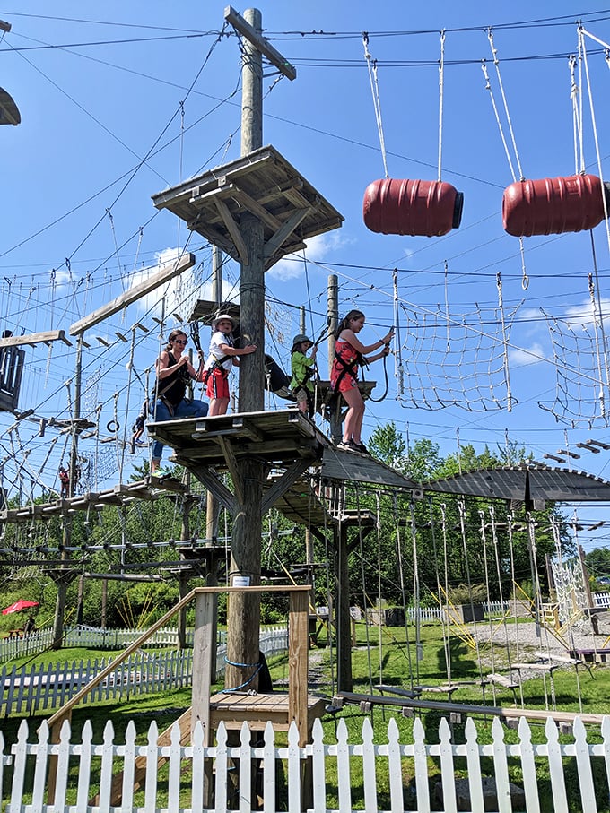 Platforms of possibility! Each level offers a new perspective on both the park and your own courage. It's like a multi-story treehouse for grown-ups.