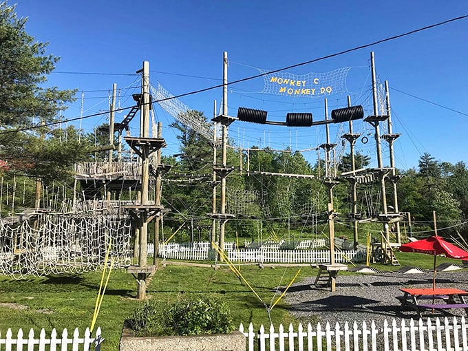 The grand view that'll make your inner monkey go bananas! Monkey C Monkey Do is where tree-hugging meets thrill-seeking in the heart of Maine.