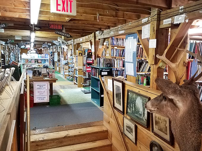 Wooden beams, rustic charm, and enough books to make Belle's library look like a magazine rack. Welcome to paradise, fellow bookworms!