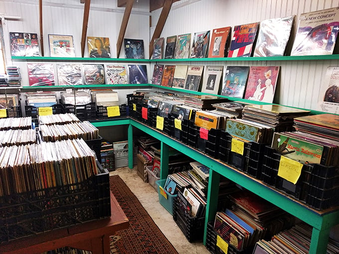 Vinyl enthusiasts, prepare for sensory overload! This record collection rivals the Beatles' catalog in both quantity and quality.