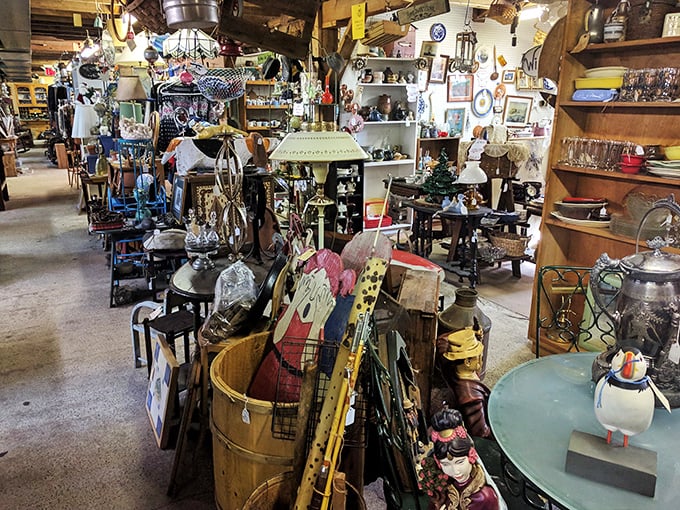 It's not clutter, it's curated chaos! This treasure trove of antiques is like a real-life "I Spy" game for grown-ups.