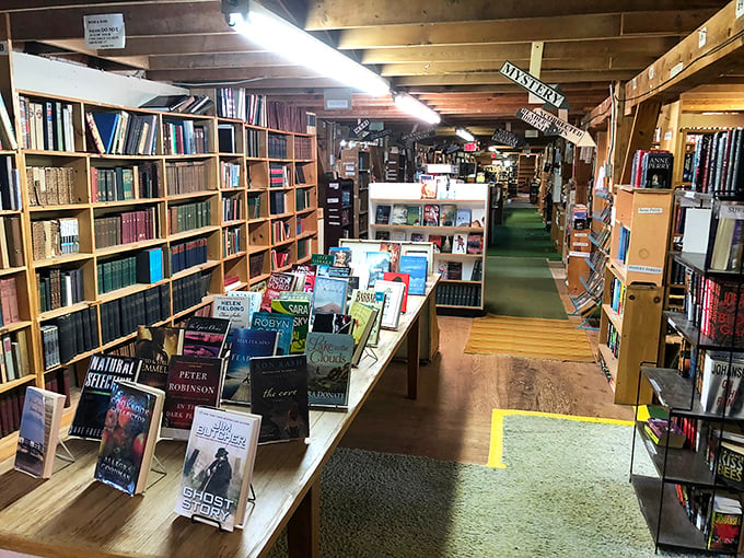 Follow the green carpet road! This aisle leads to literary adventures that would make even Dorothy's head spin.